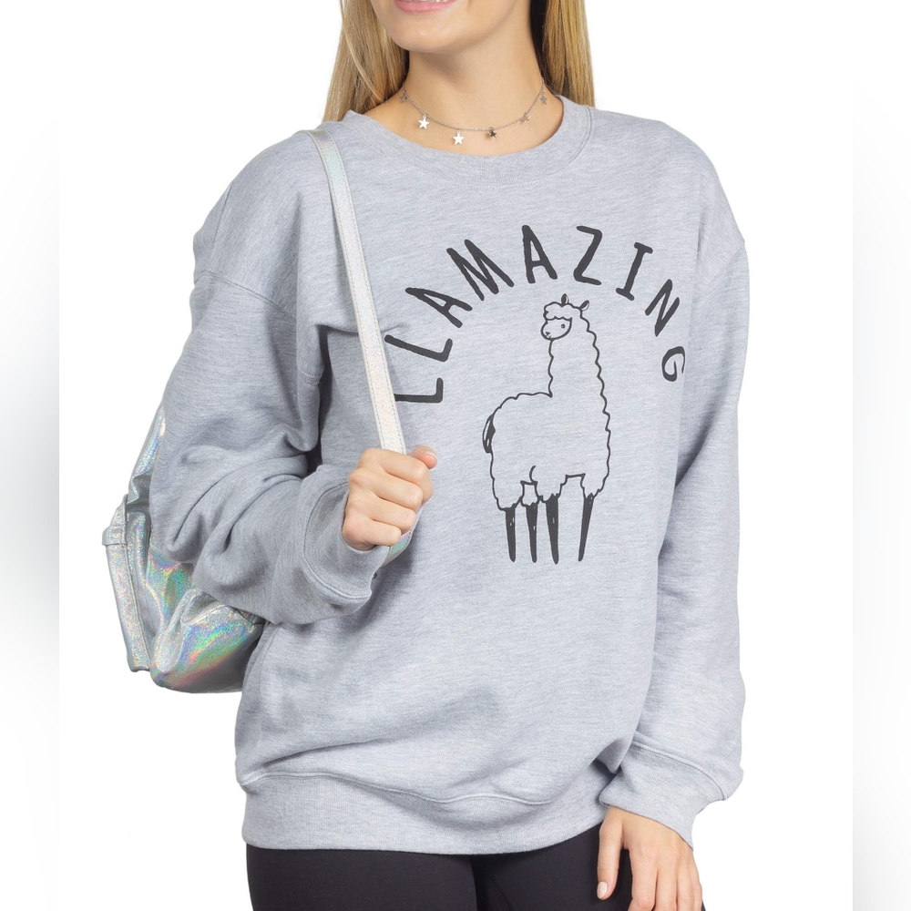 Wound Up Llamazing Grey Pullover Sweater Size XS